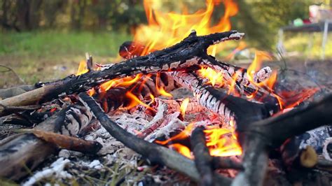 Bonfire In Forest Wooden Camp Fire Campfire Stock Footage Sbv 307283265