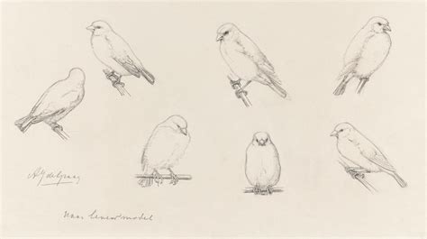 The Canaries Sketch By Julie De Graag 1877 1924 Original From The R