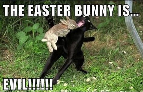 Christian Easter Memes Easter Humor Funny Easter Memes Happy Easter Funny