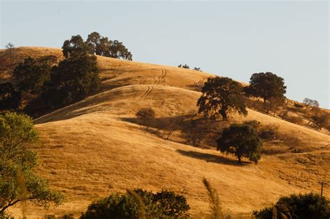 Golden California Hills Carlotta Luke California Landscape