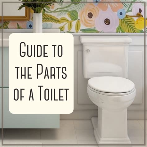What Are The Parts Of A Toilet With Diagram Dengarden