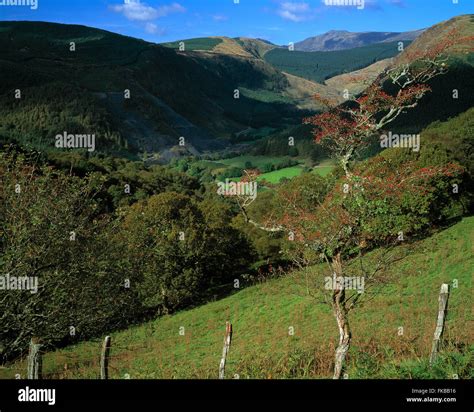 View Near Corris Hi Res Stock Photography And Images Alamy