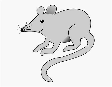Mouse Cartoon Rat Grey Animal Tail Arts Rats Mouse Clip Art