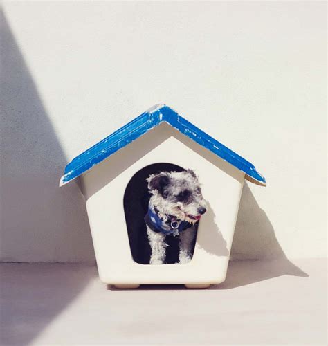 It may come with extra features such as room for a cooling pad or things you should look for in heated dog house. How To Keep a Dog House Warm In the Winter ~ DogPerDay ...