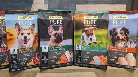 Best Dog Food Brands The Best Dog Food Brands Of 2021