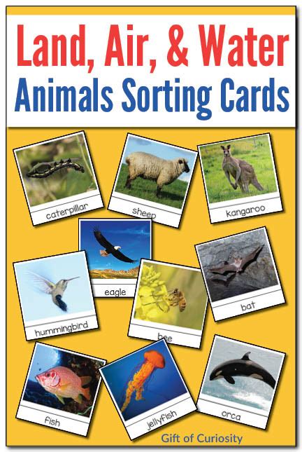 FREE Animal Sorting Cards | Free Homeschool Deals