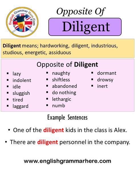 Opposite Of Diligent Antonyms Of Diligent Meaning And Example