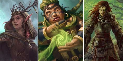 Dungeons Dragons All 7 Official Druid Subclasses Ranked Kaki