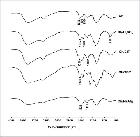FTIR Spectra Of Chitosan And Ionically Crosslinked Chitosan Membranes