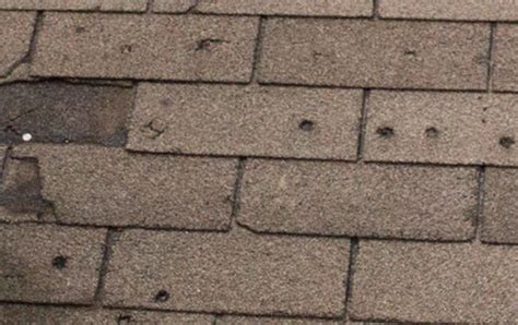 What Does Hail Damage To Your Roof Look Like Roofing And Siding Contractor