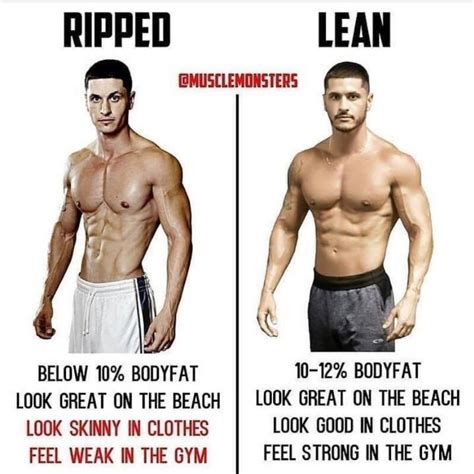 Simple Ripped Freak Workout Program For Build Muscle Workout For Beginner