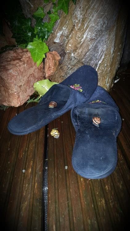 Chinese Well Worn Slippers In Te Rain Tumbex