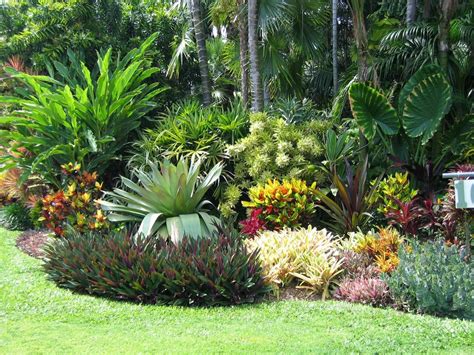 Backyard Tropical Garden Design Tropical Landscaping Florida