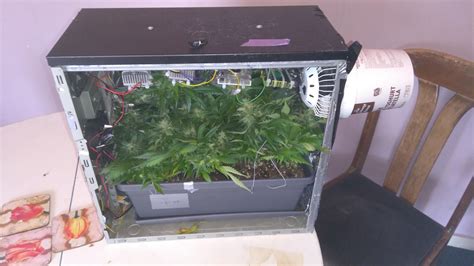 Pc Grow Box Plans
