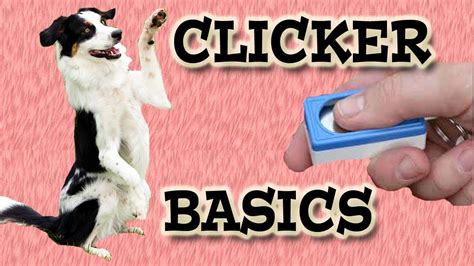 Clicker Training Basics Dog Training Youtube