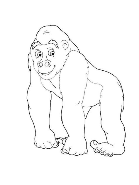 Cute Coloring Pages Of Gorillas. The gorilla is the second species