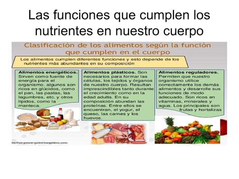 Clasificacion De Los Nutrientes Segun Su Funcion En El Organismodocx Images