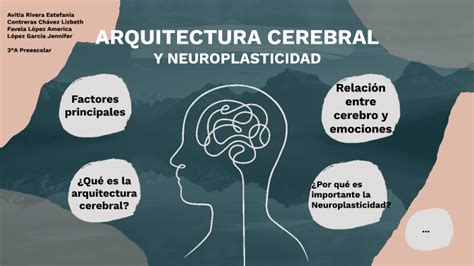 Arquitectura cerebral y Neuroplasticidad by America Janeth Favela López