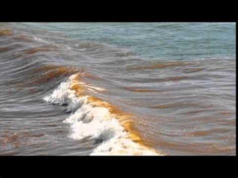 Raw Sewage Discharged At 40 Beaches In Cornwall And Devon YouTube