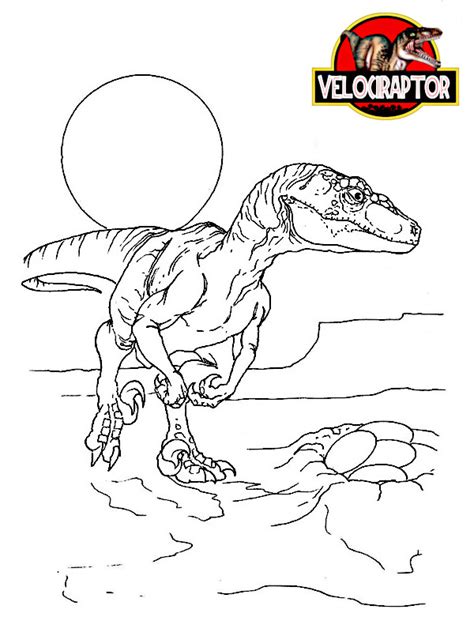 Velociraptor Da Colorare 20 Disegni Da Stampare