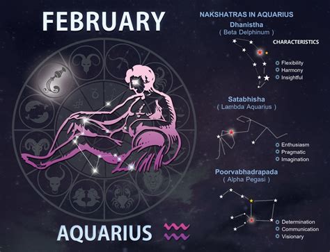 February 12 Zodiac Sign Reverasite