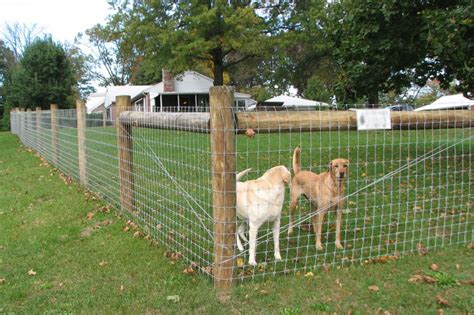 Dog Yard Fence Hog Wire Fence Diy Dog Fence Welded Wire Fence Deer