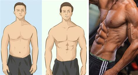 How Long Does It Take To Get Six Pack Abs The Revelation All