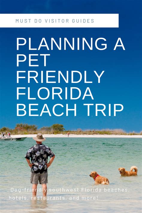 Taking A Pet Friendly Vacation To Florida Must Do Visitor Guides