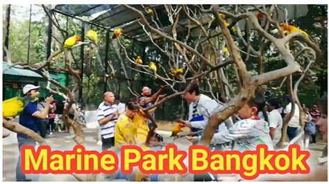 Bangkok Marine Park Tour Youtube