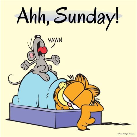 Ahh Sunday Garfield Cartoon Garfield Comics Garfield And Odie