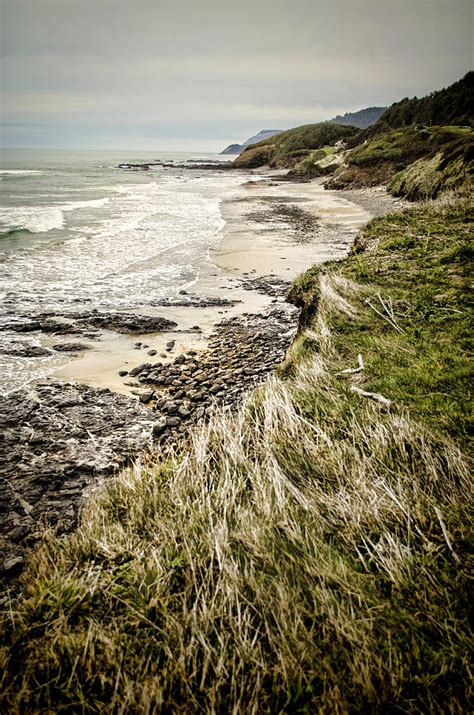 Coastal Grass Photograph By Heather Applegate Fine Art America