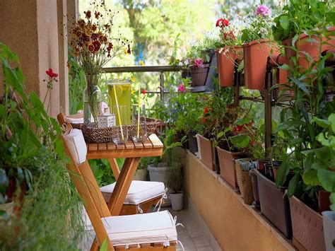 Small Space Gardening Tips Learn How To Grow More Plants In Less Space