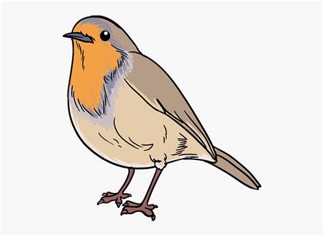 Carton Drawing Bird Easy Robin Bird Drawing Hd Png Download