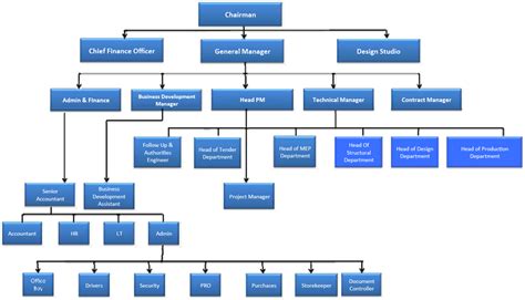 Organizational Structure Organizational Chart Business Ferrero Spa Png