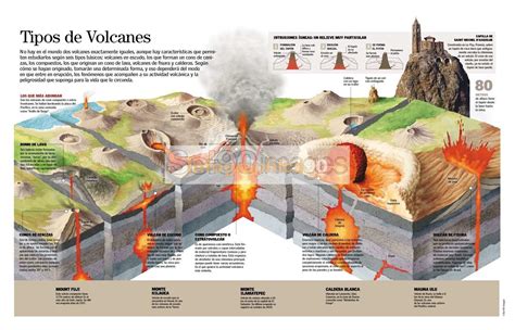 Infografía Tipos De Volcanes Infographics90