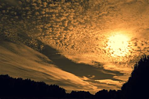 Clouds Dawn Dusk Light Nature Outdoors Silhouette Sky Sun
