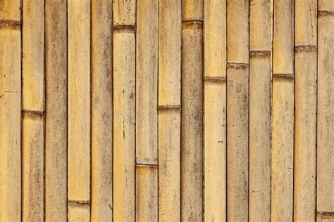 Bamboo Fence Texture Stock Image Image Of Panorama 178798169