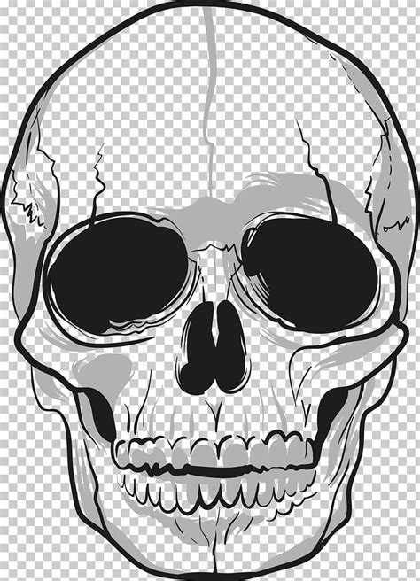 Skull Png Clipart Skull Free Png Download