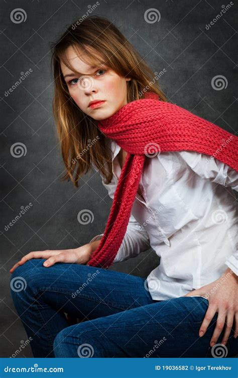 Girl With A Red Scarf Stock Photo Image Of Hair Elegance 19036582