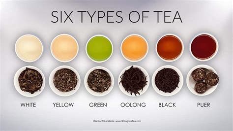 What Are The Main Types Of Tea Tea Hee Shop Uk