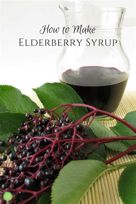 My Simple Elderberry Syrup Recipe Elderberry Syrup Elderberry