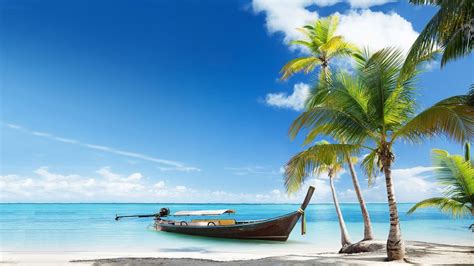Boat On Body Of Water Near Coconut Trees During Sunny Time