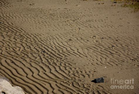 sand beach with ripples in the mud from the tide photograph by dejavu designs fine art america