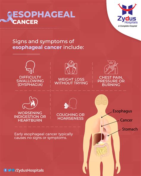 Oesophagus Cancer Symptoms And Signs