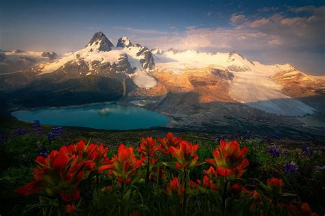 British Columbia Flowers Mountains Canada Lake Hd Wallpaper Pxfuel
