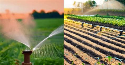 What Are The Advantages Of Sprinkler Over Drip Irrigation