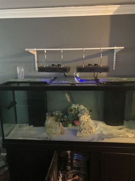 210 Gallon Fish Tank For Sale In Bronx Ny Offerup