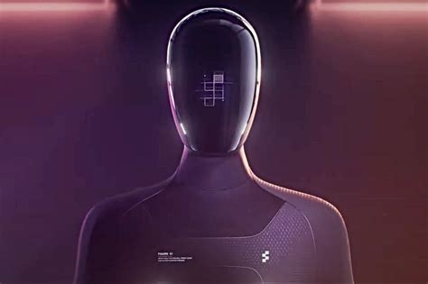Determine Humanoid Robotic Startup Comes Out Of Stealth Boroface