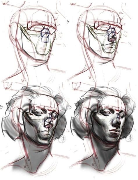 Female Head Drawing Reference
