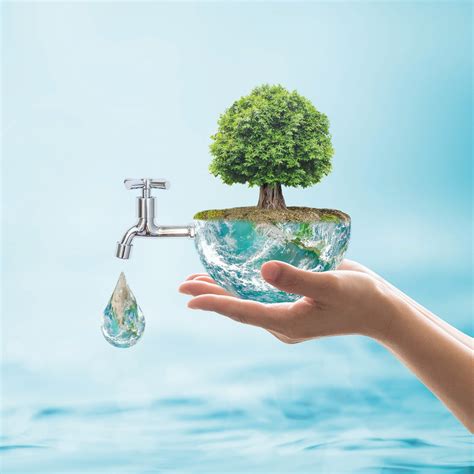 4 Dicas Simples Para Evitar O Desperdício De água Contribuindo Para A